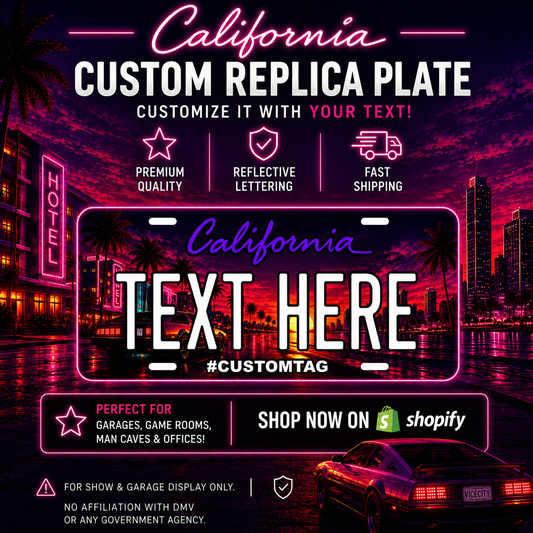 VICE CITY PLATE (GTA6)